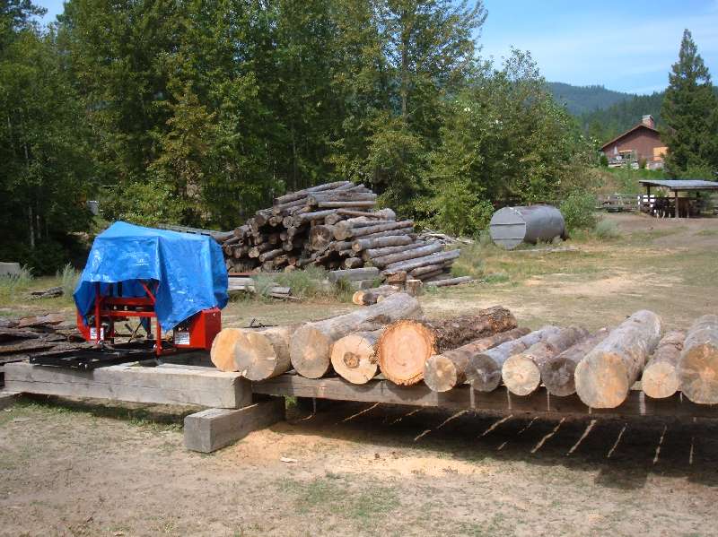 Sawmill log deck