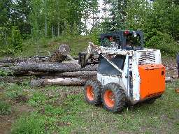 Bobcat to move the logs