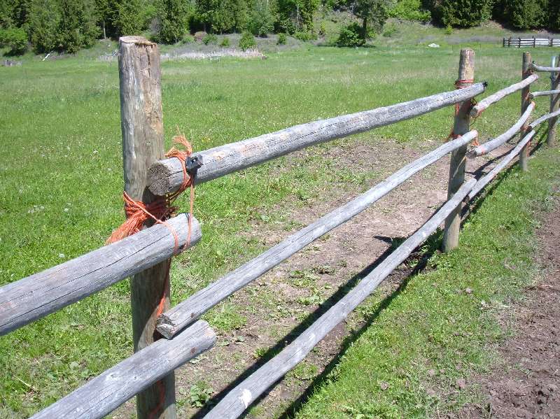 Binder twine fences