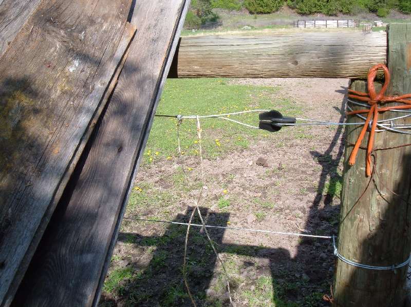 Broken electric fence picture